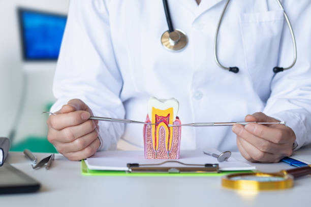 Best Emergency Treatment for Toothache in Pleak, TX